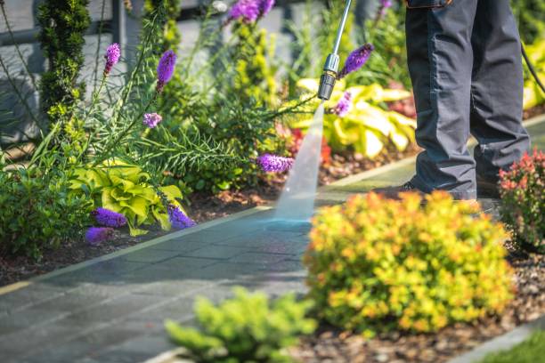 Best Spring Cleaning  in Greenfield, OH