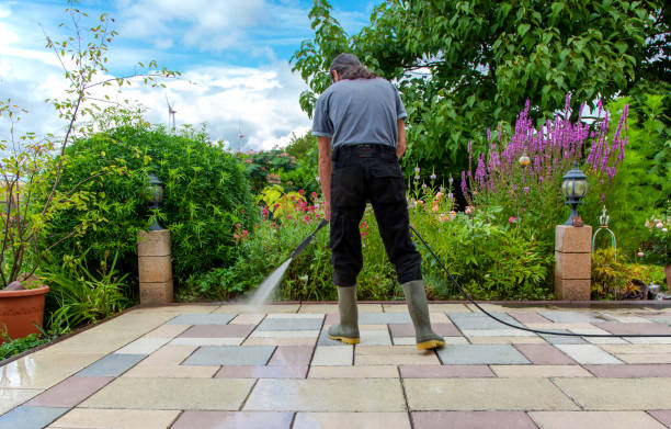 Best Animal Enclosure Cleaning  in Greenfield, OH
